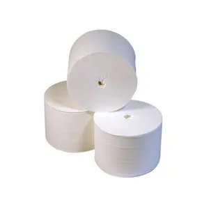 Euro toiletpapier coreless cellulose 2 laags 900 vel (36 rollen)