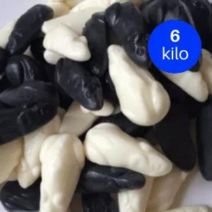 CCI grijze witte muizen
