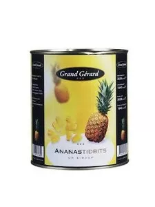 Grand gerard ananas op siroop tidbits (3.04 kg)