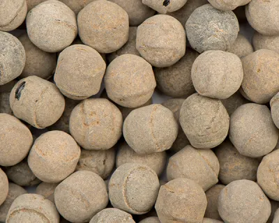 Kindly’s Salmiak Hagel (3,5kg)
