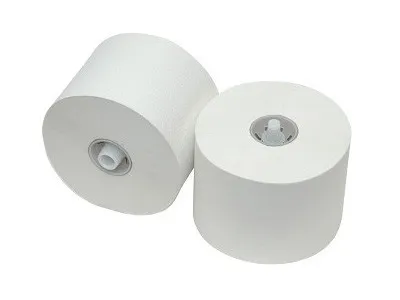 Toiletpapier met dop recycled hoogwit  2 laags (36x 100m)