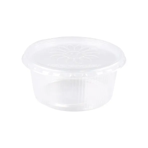 Plastic bak + deksel helder (250x 250cc)