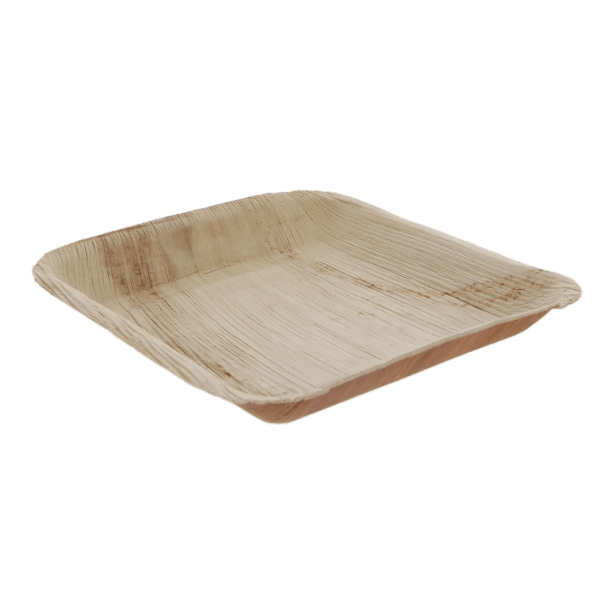 Biodore Bord Palmblad 24 x 24 cm (25 stuks)