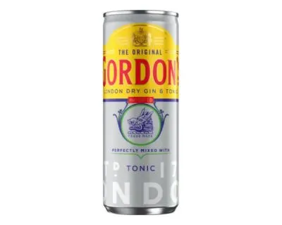 Gordon's Gin Tonic Blik (12x 25cl)