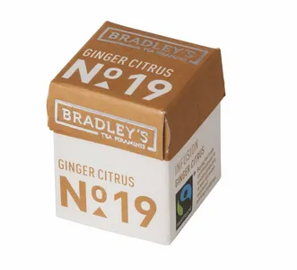 Bradley’s piramini thee ginger / citrus (30 stuks)