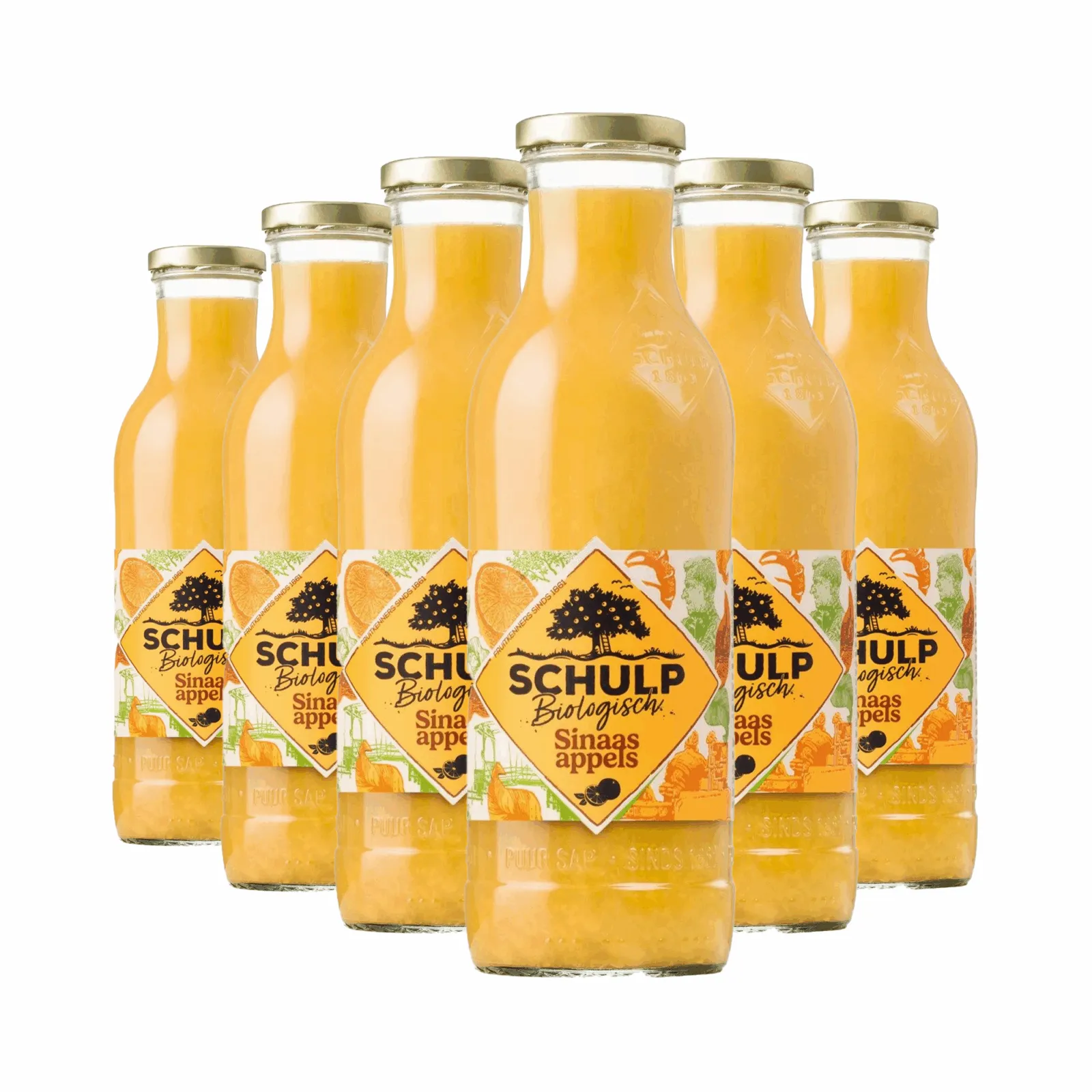 Schulp Biologisch Sinaasappelsap fles (6x 0,75 liter)