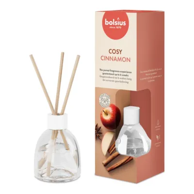 Bolsius Geurverspreiders 60 ml True Scents Apple Cinnamon (6 stuks)