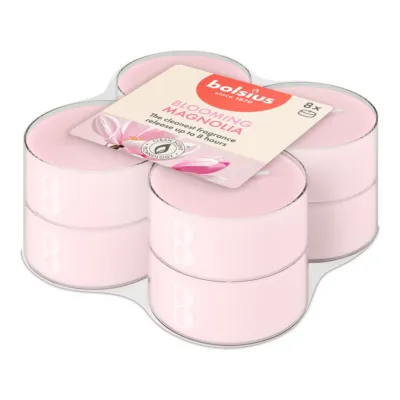 Bolsius Maxilichten True Scents Magnolia Ø58x24 mm 8 uur (6x 8 stuks)