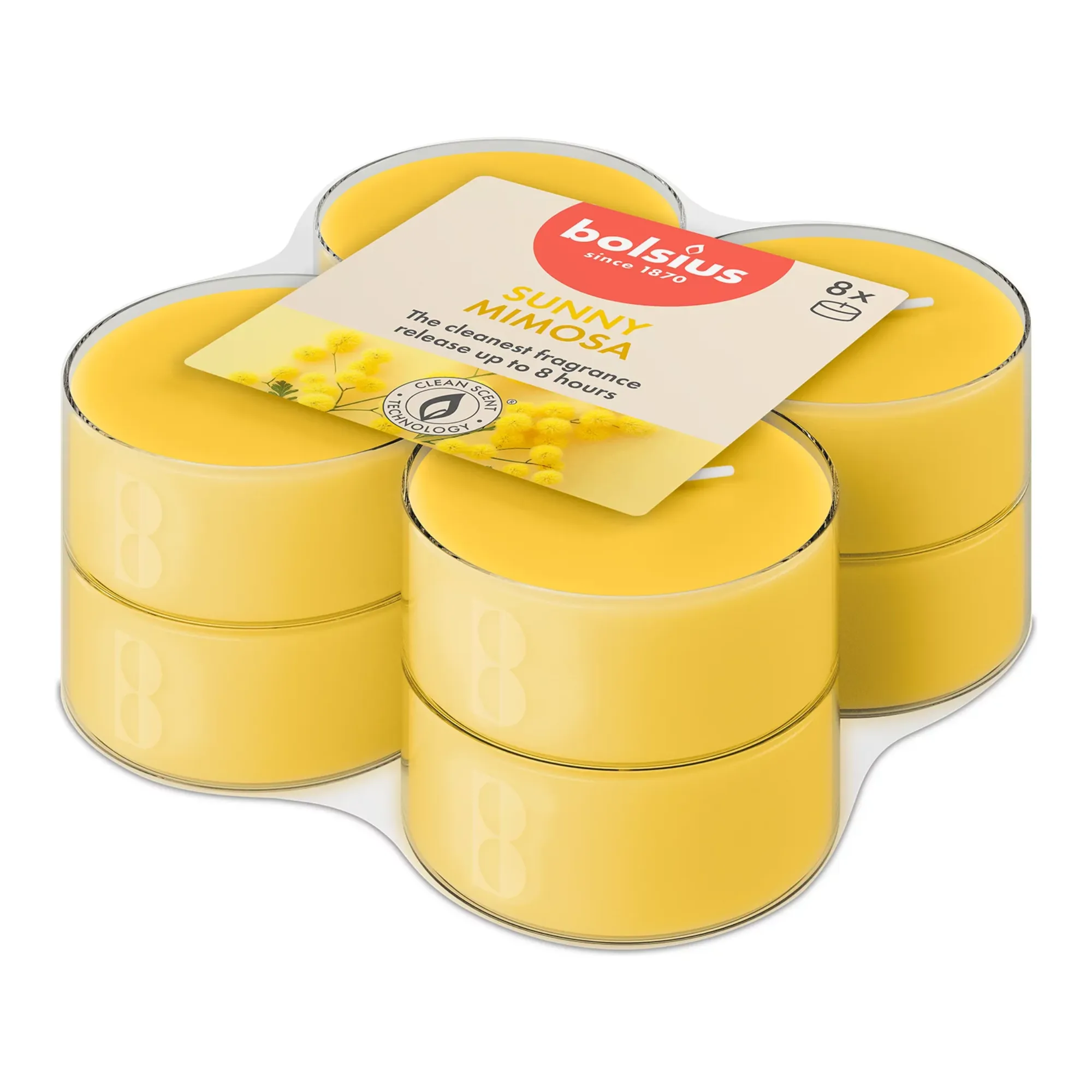 Bolsius Maxilichten True Scents Mimosa Ø58x24 mm 8 uur (6x 8 stuks)