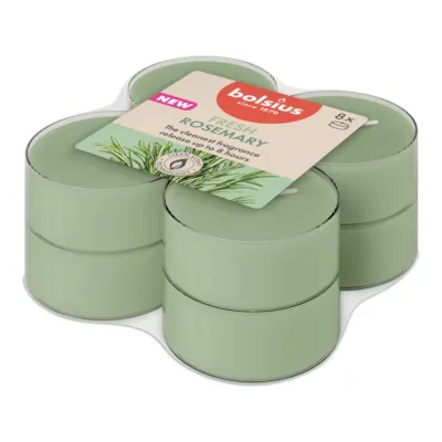Bolsius Maxilichten True Scents Rosemary Ø58x24 mm 8 uur (6x 8 stuks)