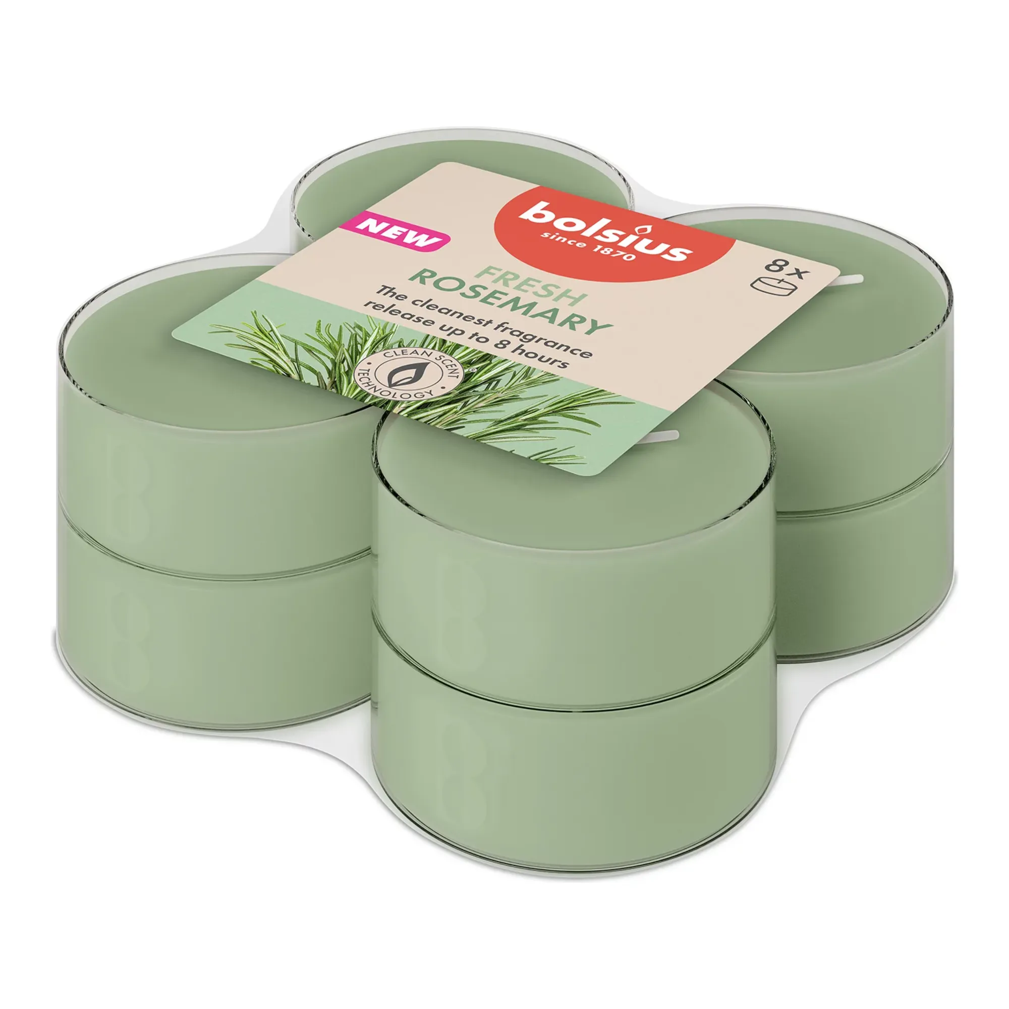 Bolsius Maxilichten True Scents Rosemary Ø58x24 mm 8 uur (6x 8 stuks)