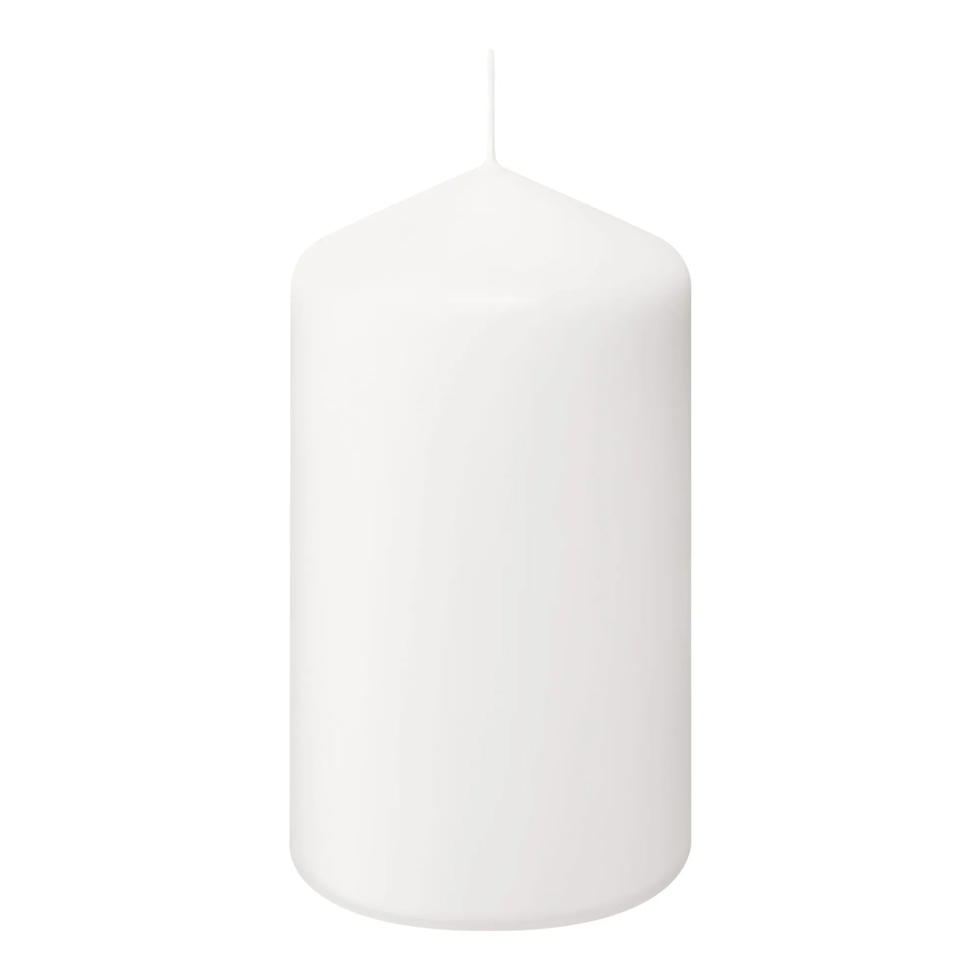 Bolsius Professional Stompkaarsen 15/8 cm Wit 64 Branduren (6 stuks)