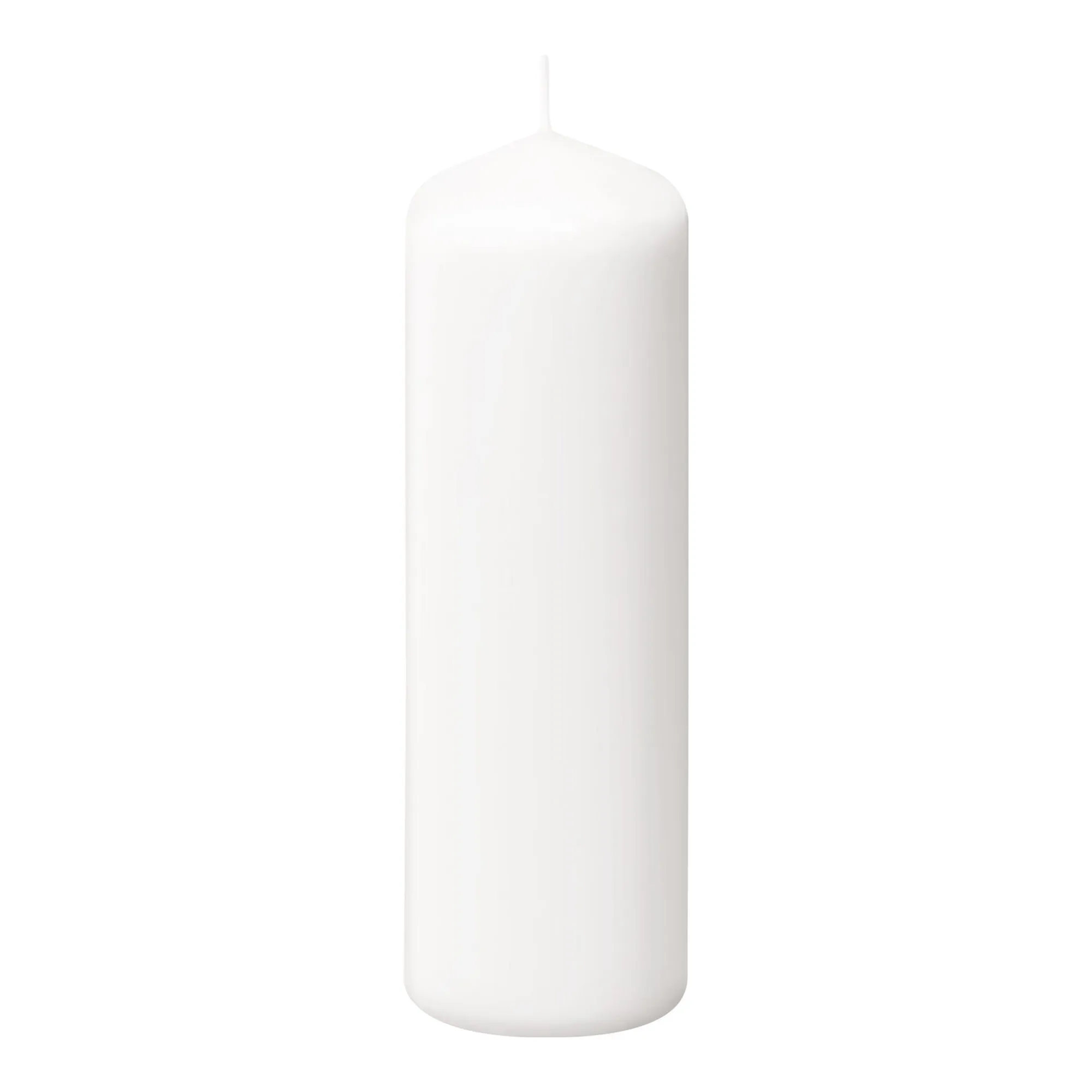 Bolsius Professional Stompkaarsen 20/7 cm Wit 75 Branduren (6 stuks)
