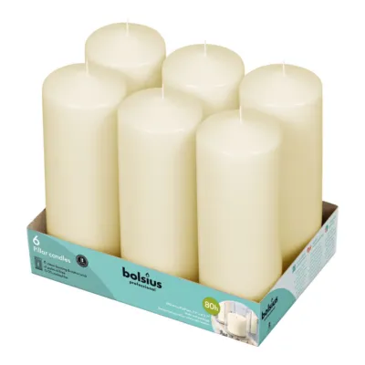Bolsius Professional Stompkaarsen 25/8 cm Ivoor 122 Branduren (6 stuks)