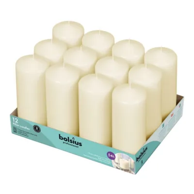 Bolsius Professional Stompkaarsen Ivoor 17/6 cm 49 Branduren (12 stuks)