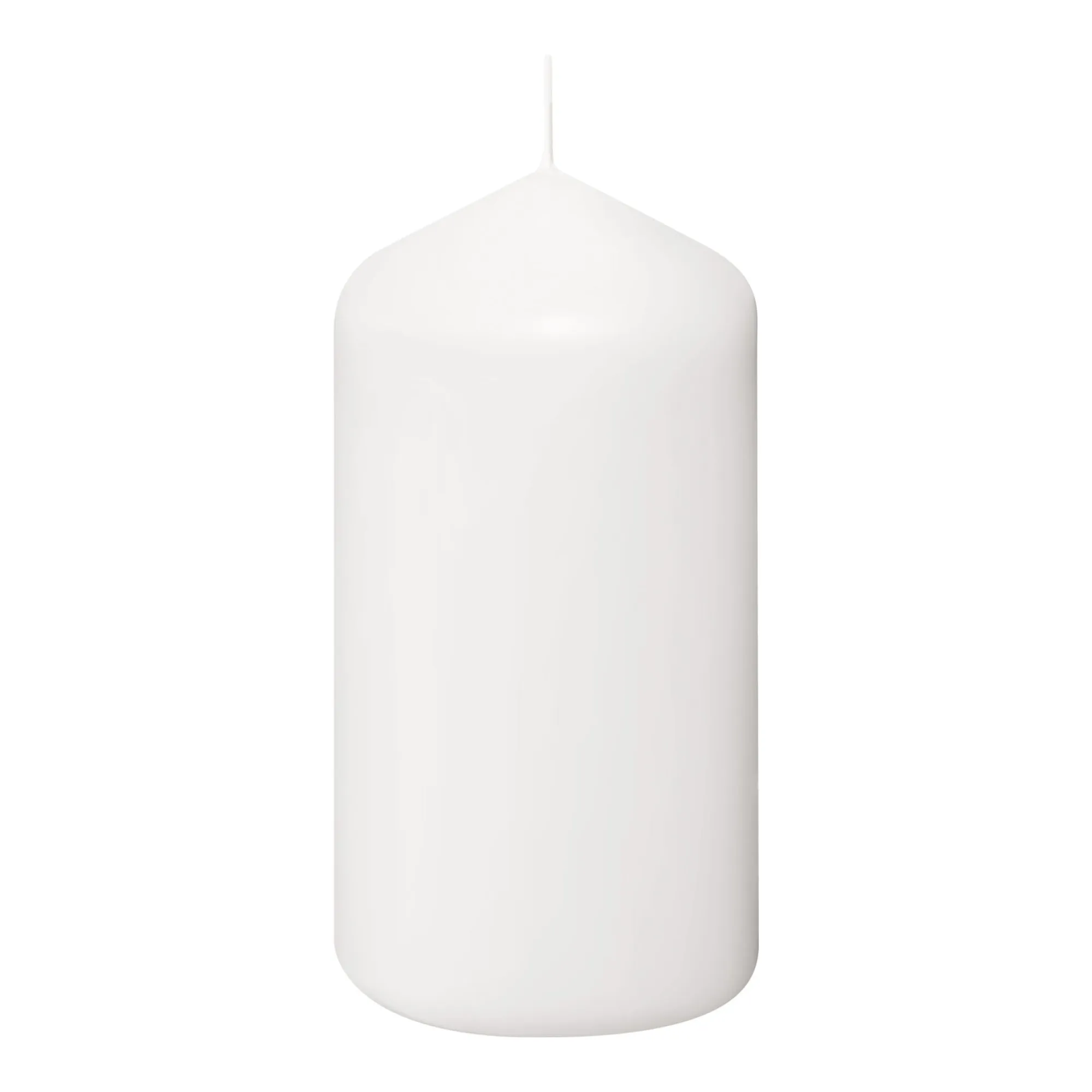 Bolsius Professional Stompkaarsen Wit 13/7 cm 40 Branduren (12 stuks)