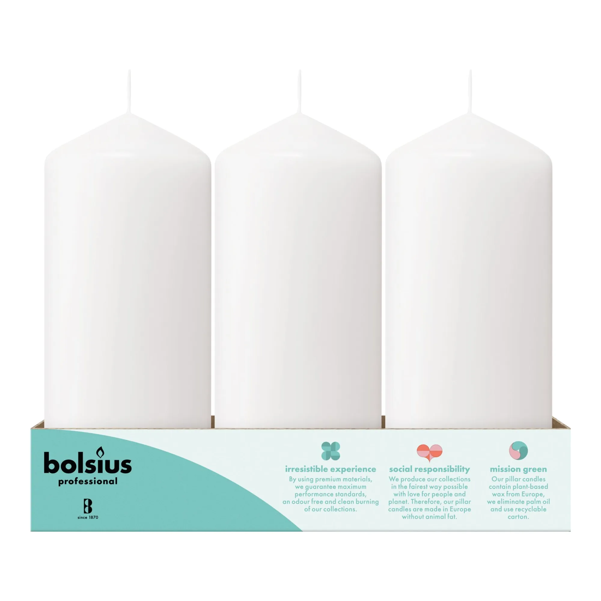Bolsius Professional Stompkaarsen Wit 17/7 cm 62 Branduren (12 stuks)