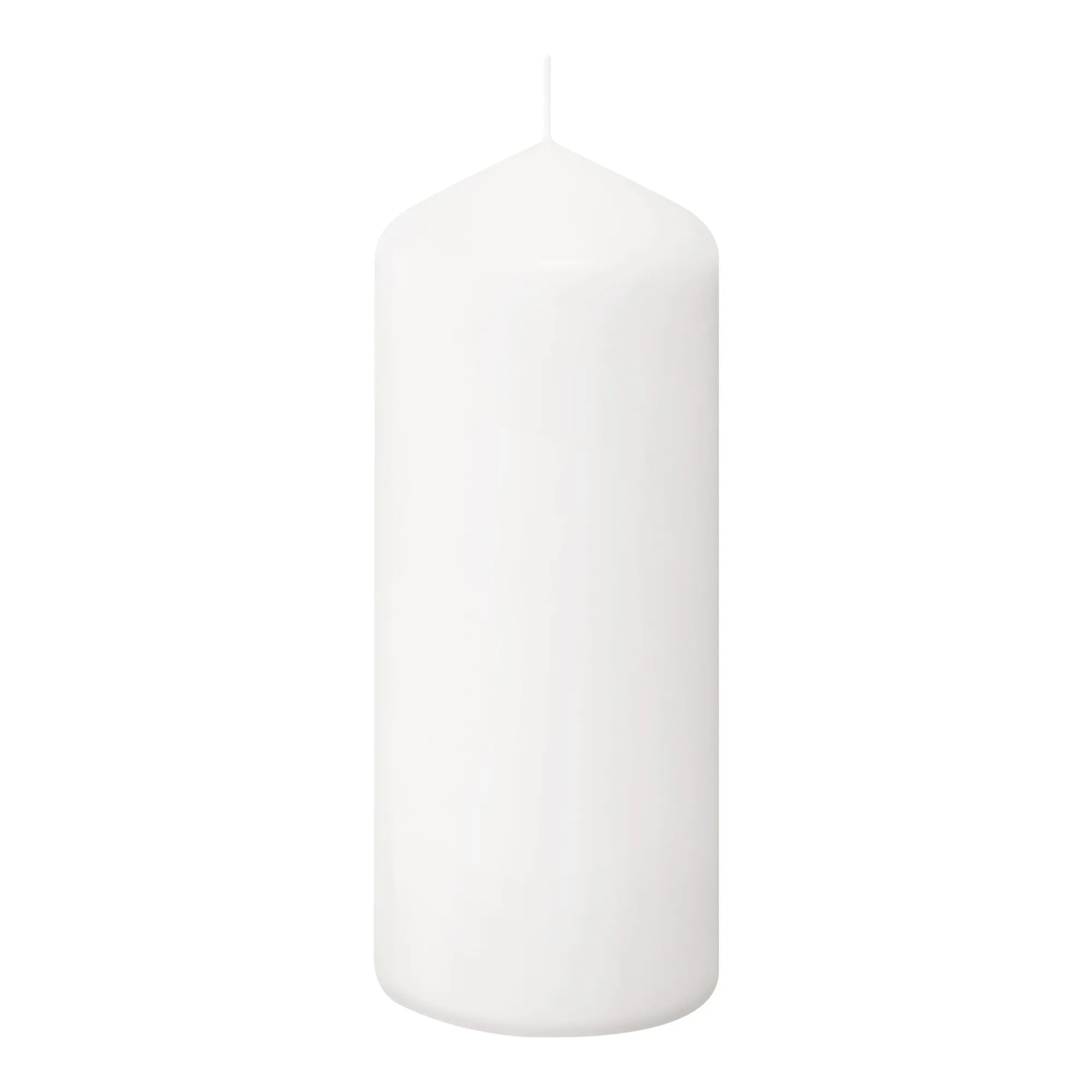 Bolsius Professional Stompkaarsen Wit 17/7 cm 62 Branduren (12 stuks)