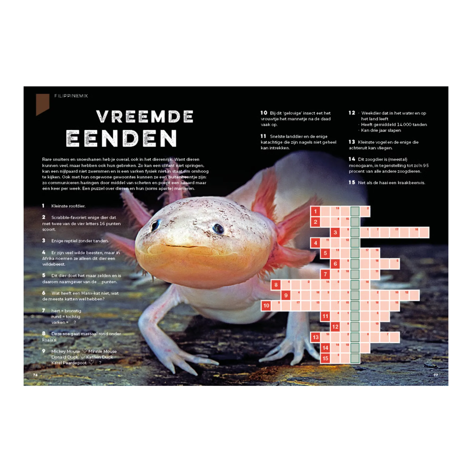 Denksport Het Pubquiz Puzzelboek Deel 1 (175x 245x 12)