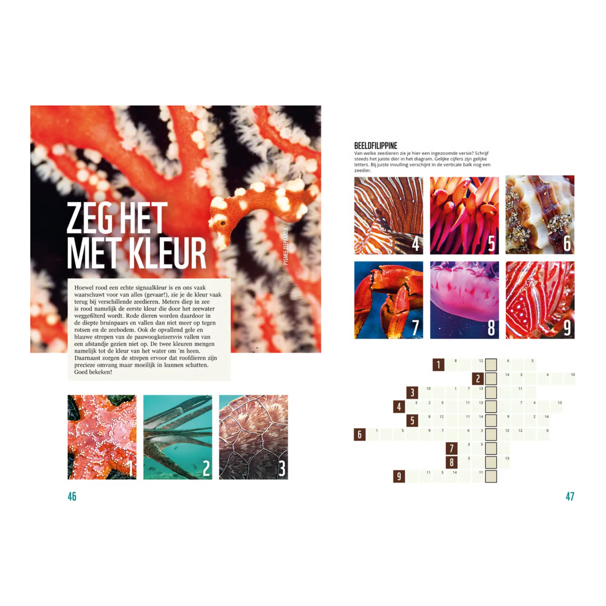 Denksport Het WWF Dieren Puzzelboek (175x 245x 12)