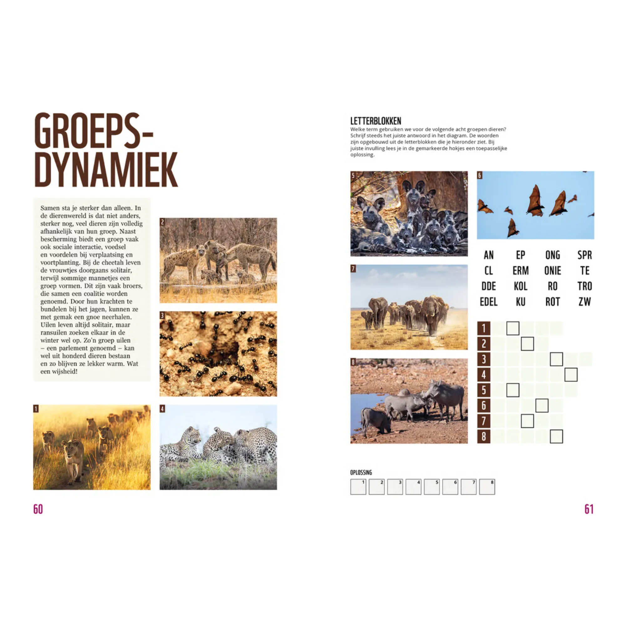 Denksport Het WWF Dieren Puzzelboek (175x 245x 12)