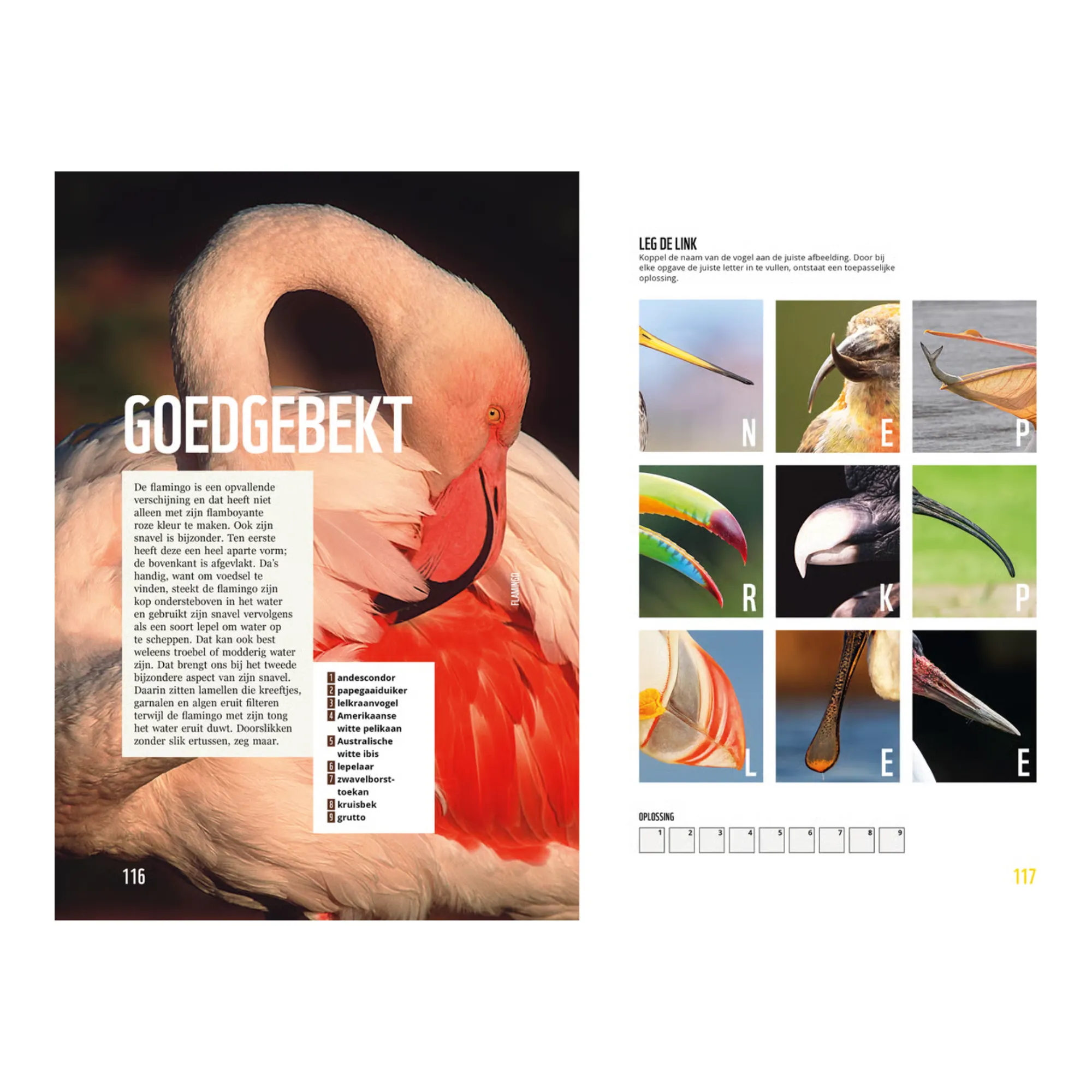 Denksport Het WWF Dieren Puzzelboek (175x 245x 12)