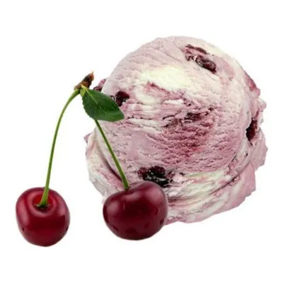 Gelato Fantastico Amarenen Kersen Schepijs (4.7 liter)