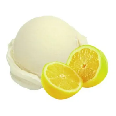 Gelato Fantastico Sorbetijs Citroen (4.7 liter)
