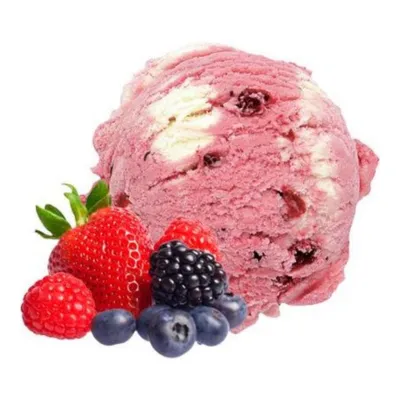 Gelato Fantastico Yoghurt Bosvruchten Schepijs (4.7 liter)