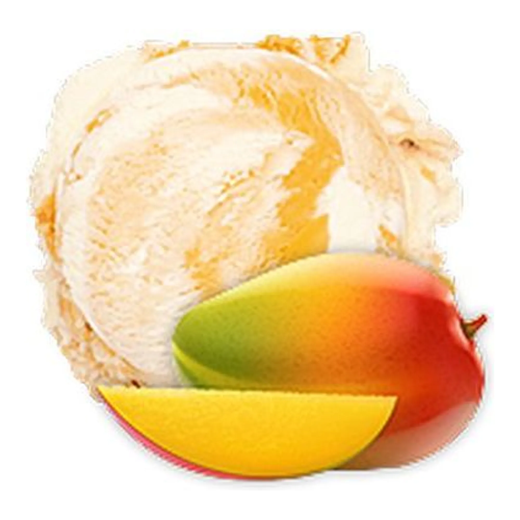Gelato Fantastico Yoghurt Mango Schepijs (4.7 liter)