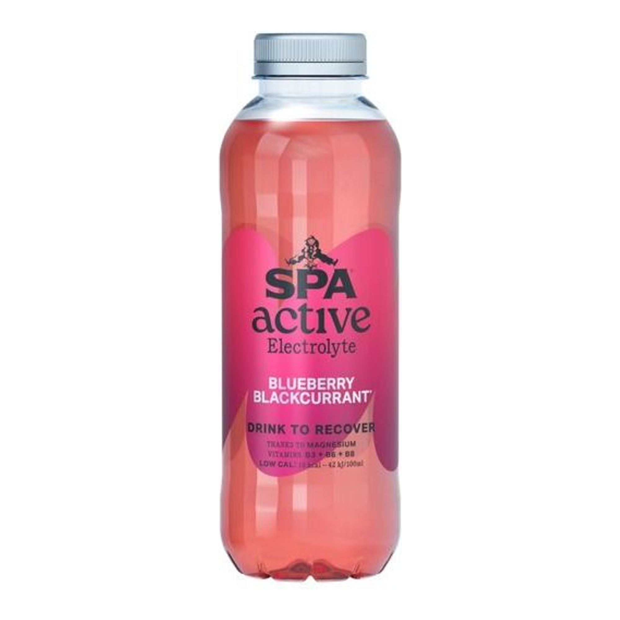 Spa Active Blueberry Blackcurrent Fles (6x 500 ml)